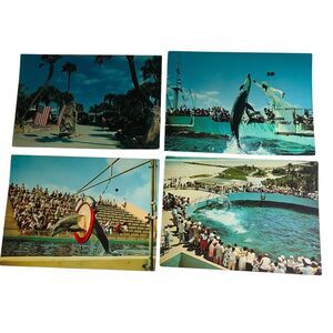 Vintage Marine Studios Marineland Florida Jumbo Postcard Lot 4 Flippy Porpoise